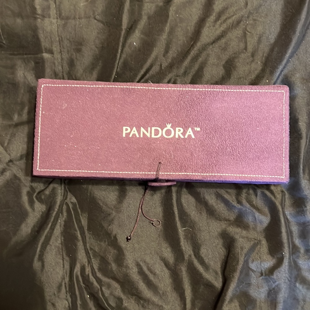 Beautiful wine suede Pandora travel organizer three  light beige inner trays